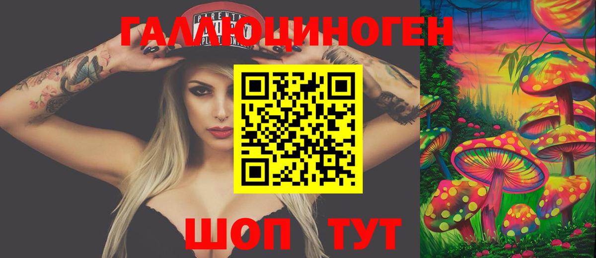 Каменск-Шахтинский  Псилоцибиновые грибы Psilocybe  Вход с VPN 